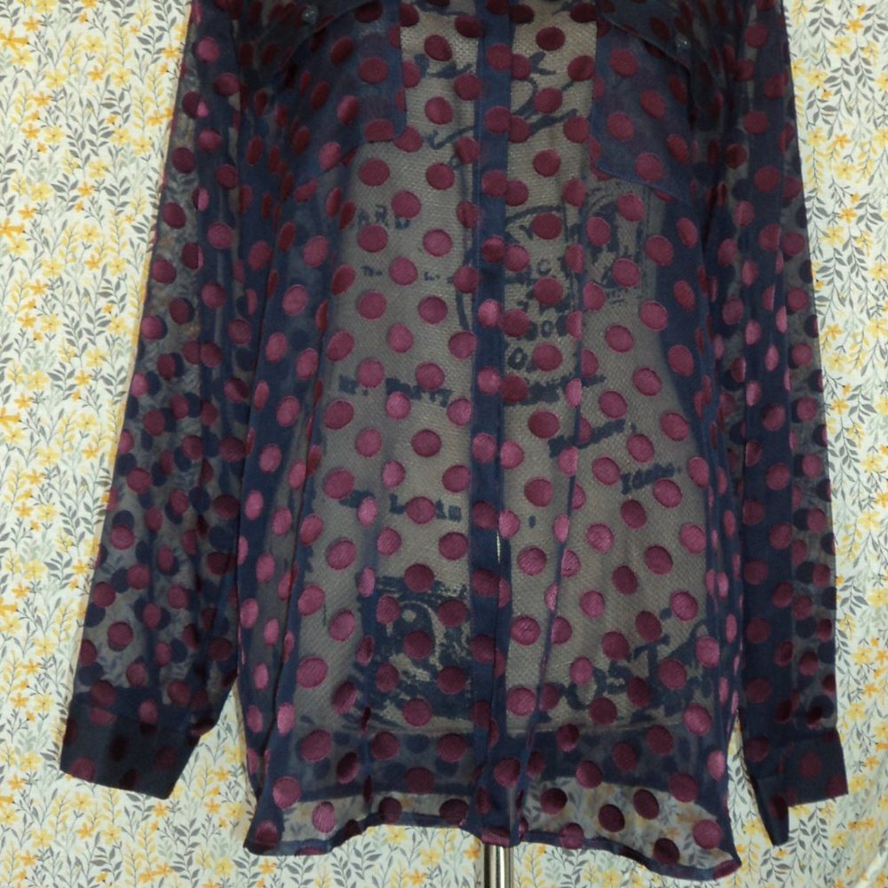 Shear Blouse - image 3
